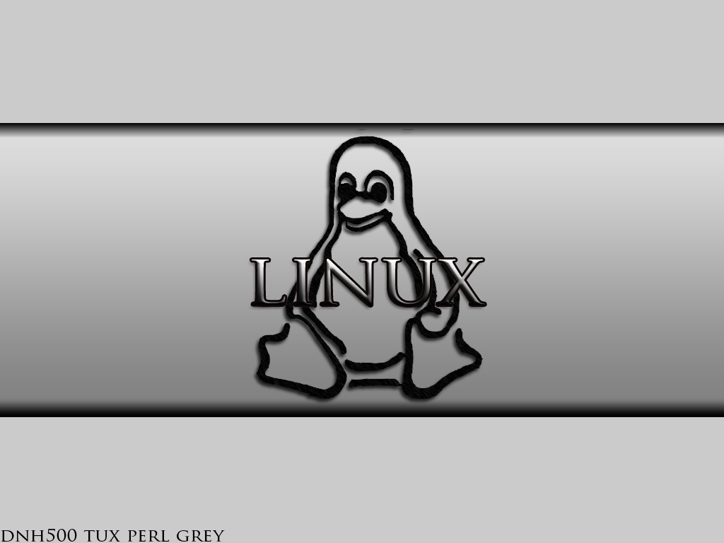 Full size Linux wallpaper / Computer / 1024x768