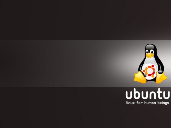Free Send to Mobile Phone Linux Computer wallpaper num.26