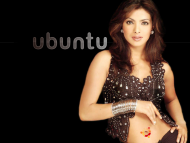 ubuntu / Linux