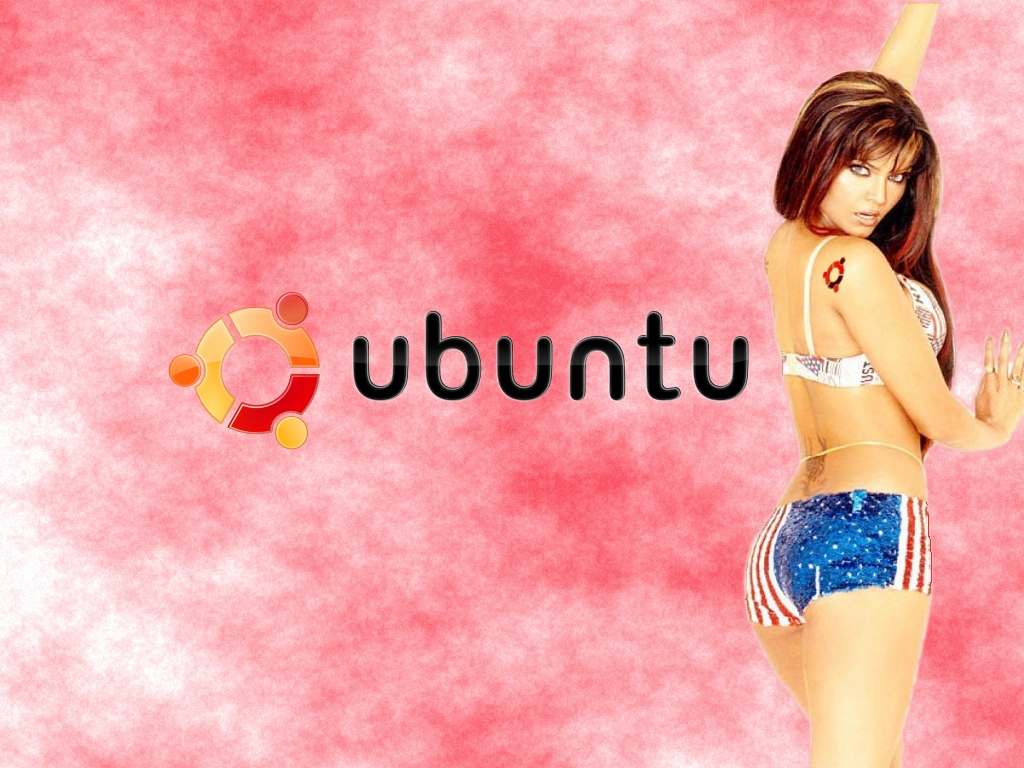 Download ubuntu Linux wallpaper / 1024x768