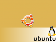 Linux / Computer