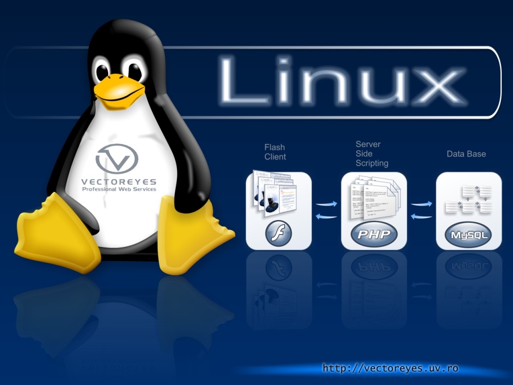 Download Linux / Computer wallpaper / 1024x768