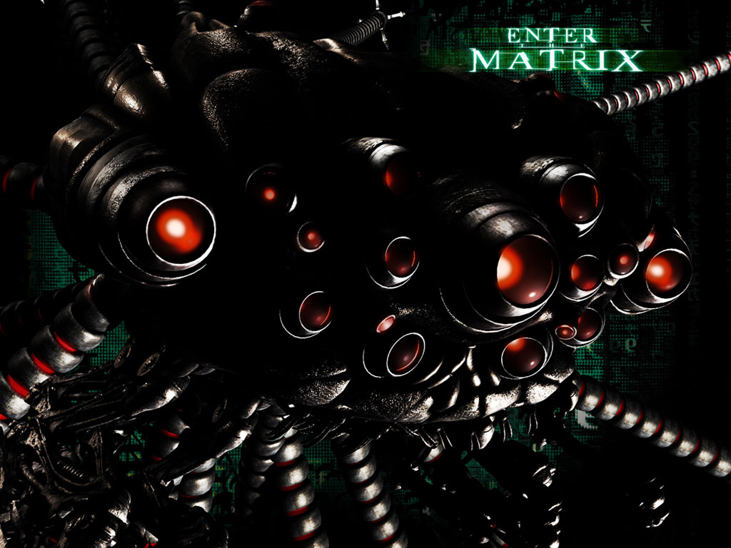 Full size Enter the Matrix wallpaper / Games / 1024x768