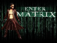Enter the Matrix / Games