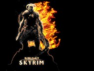skyrim, oblivion, the elder scrolls, warrior, knight, flames, fire, burn, hero, dragonborn / The Elder Scrolls