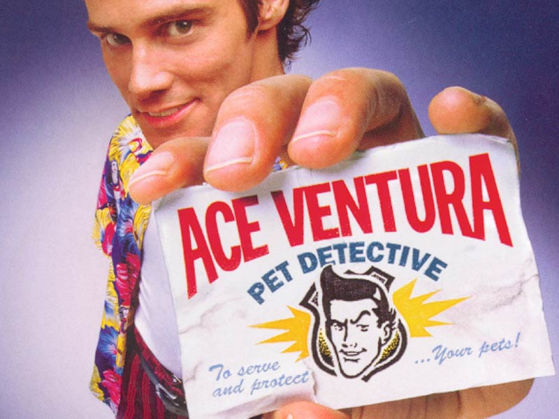 Full size Ace Ventura wallpaper / Movies / 800x600