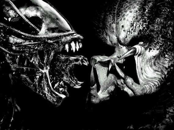 Free Send to Mobile Phone Alien Vs Predator Movies wallpaper num.3