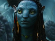 Avatar / Movies