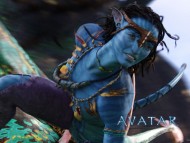 Download Avatar / Movies