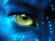 Download Avatar / Movies