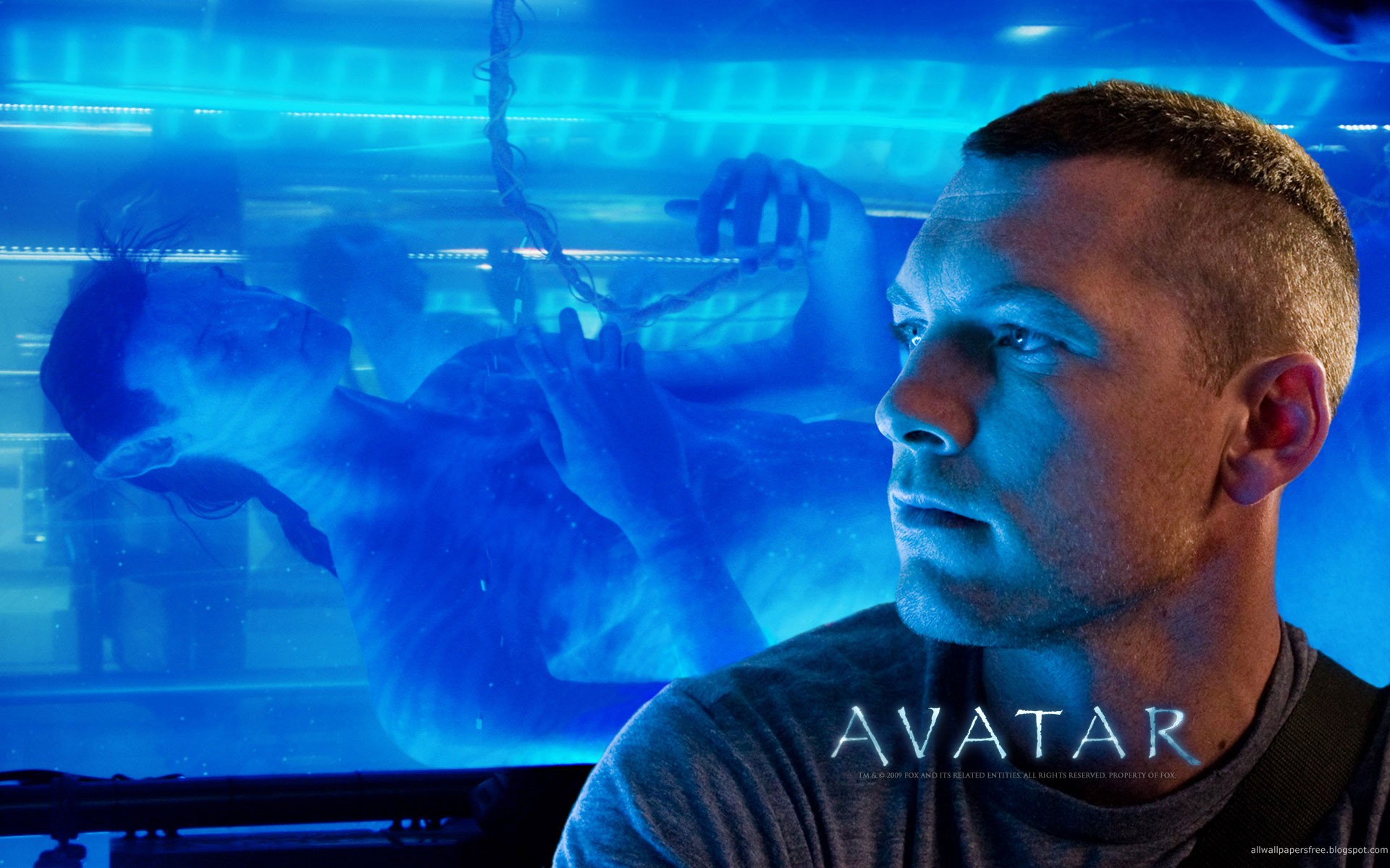 Download HQ Avatar wallpaper / Movies / 1920x1200