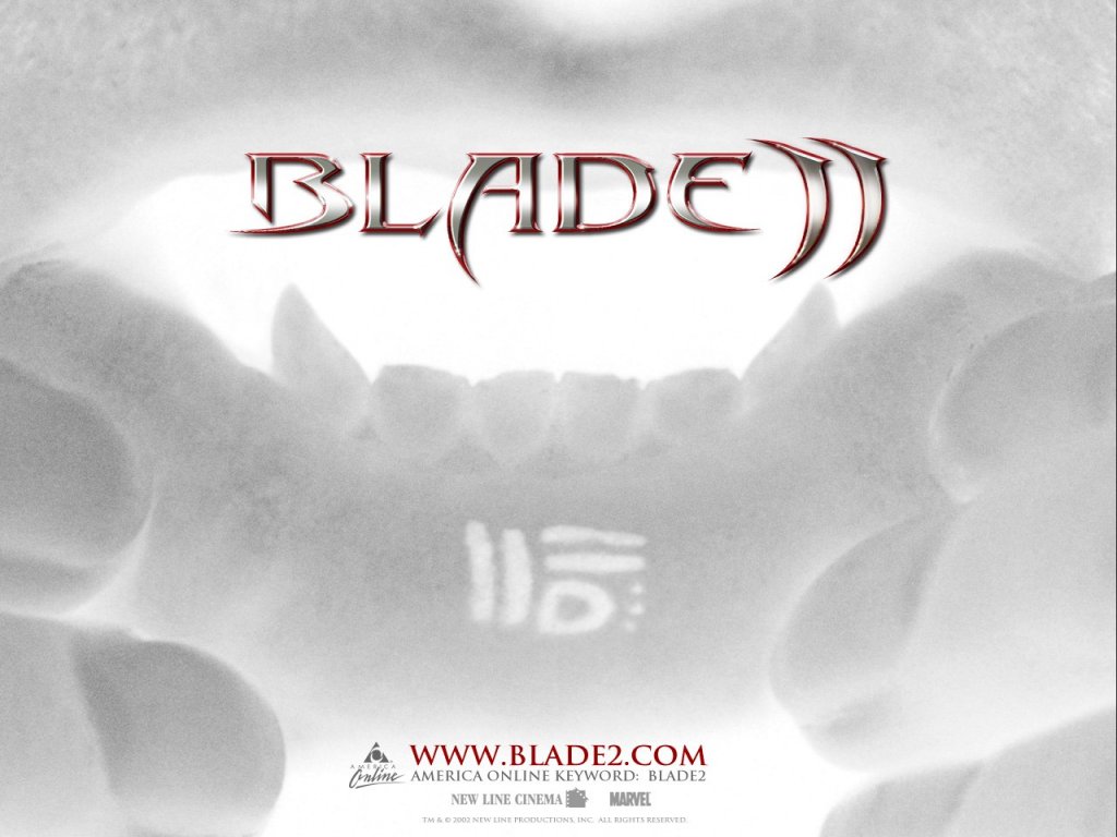 Full size Blade 2 wallpaper / Movies / 1024x768