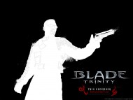 Download Blade Trinity / Movies