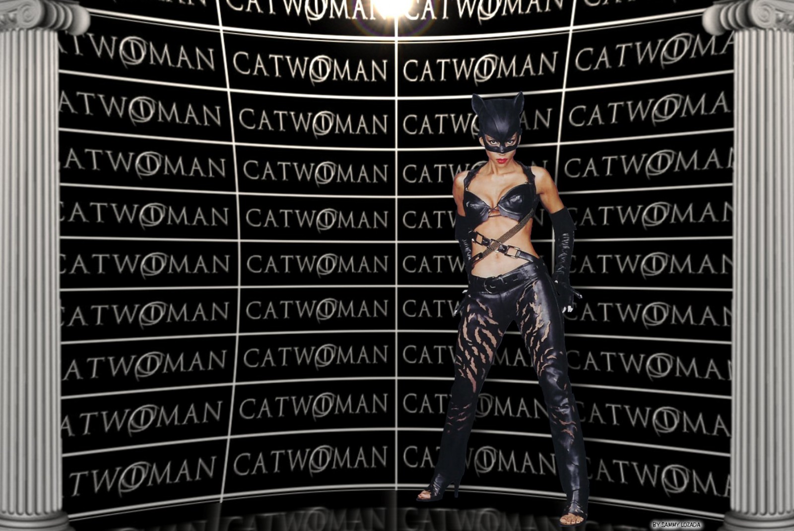 Download full size Catwoman wallpaper / Movies / 1600x1071