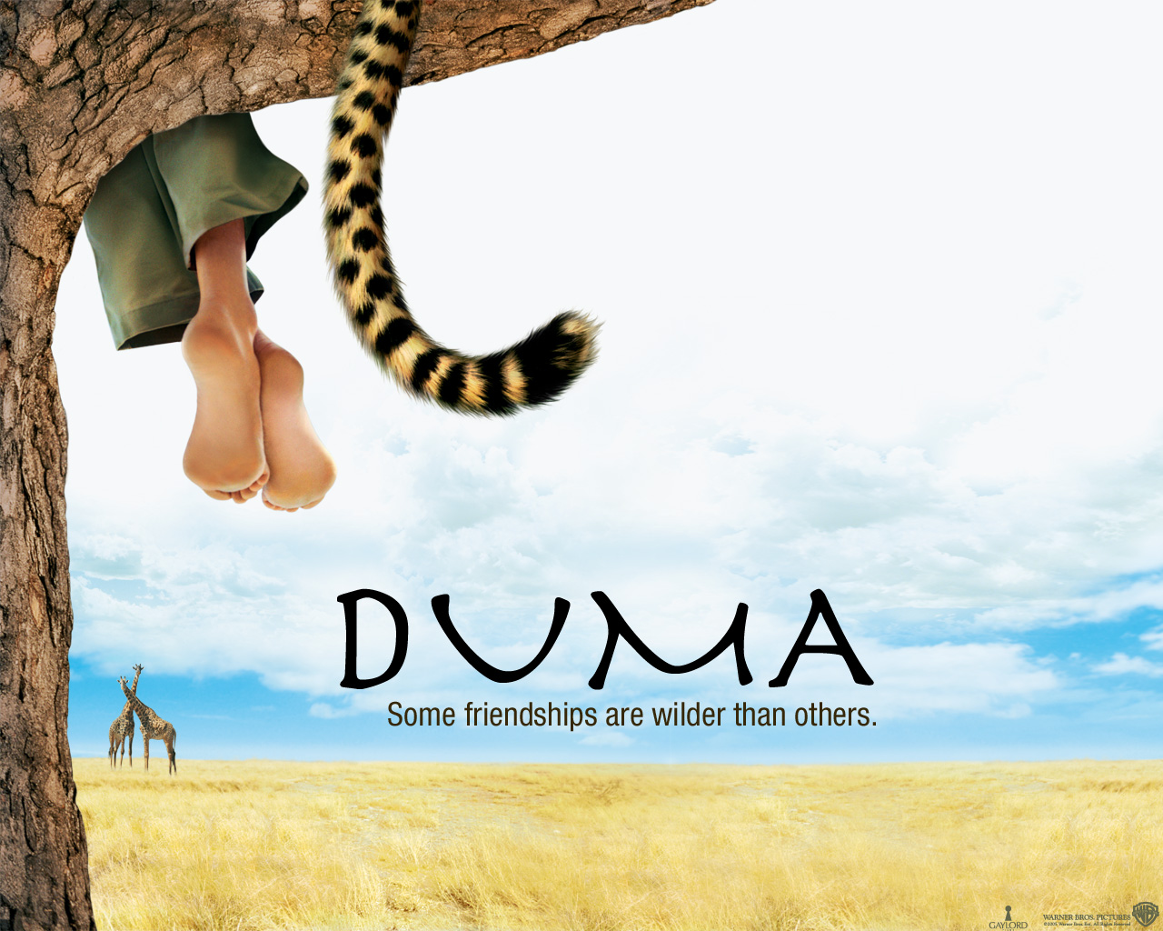 Download HQ Duma wallpaper / Movies / 1280x1024