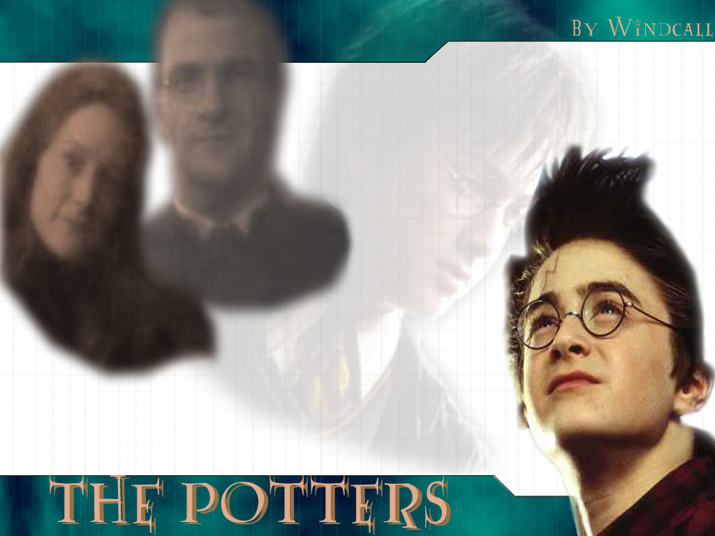Full size Harry Potter wallpaper / Movies / 1024x768