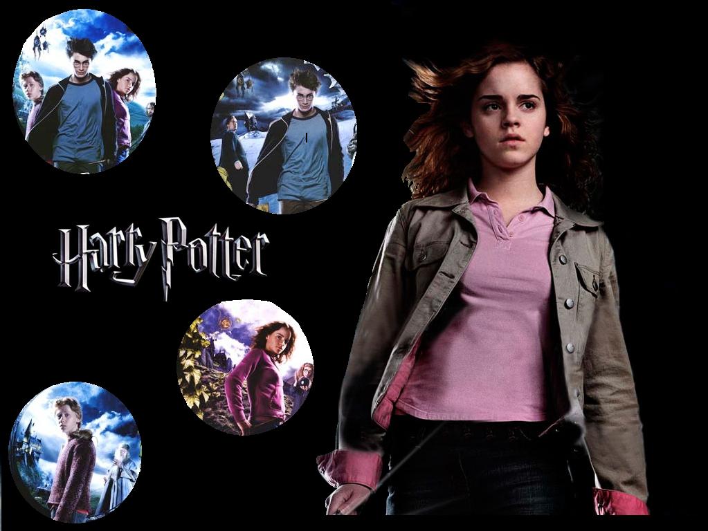 Download Harry Potter / Movies wallpaper / 1023x768