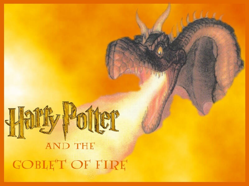 Download Harry Potter / Movies wallpaper / 800x600