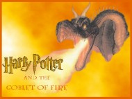 Download Harry Potter / Movies