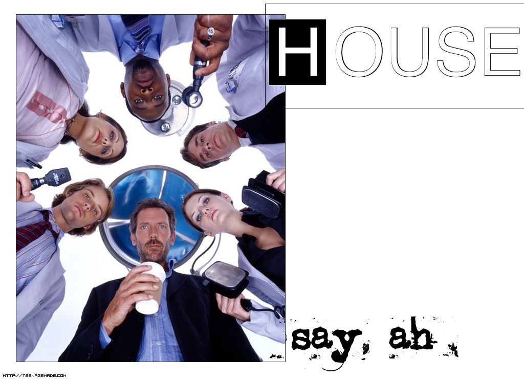 Download House M.D. / Movies wallpaper / 1024x741