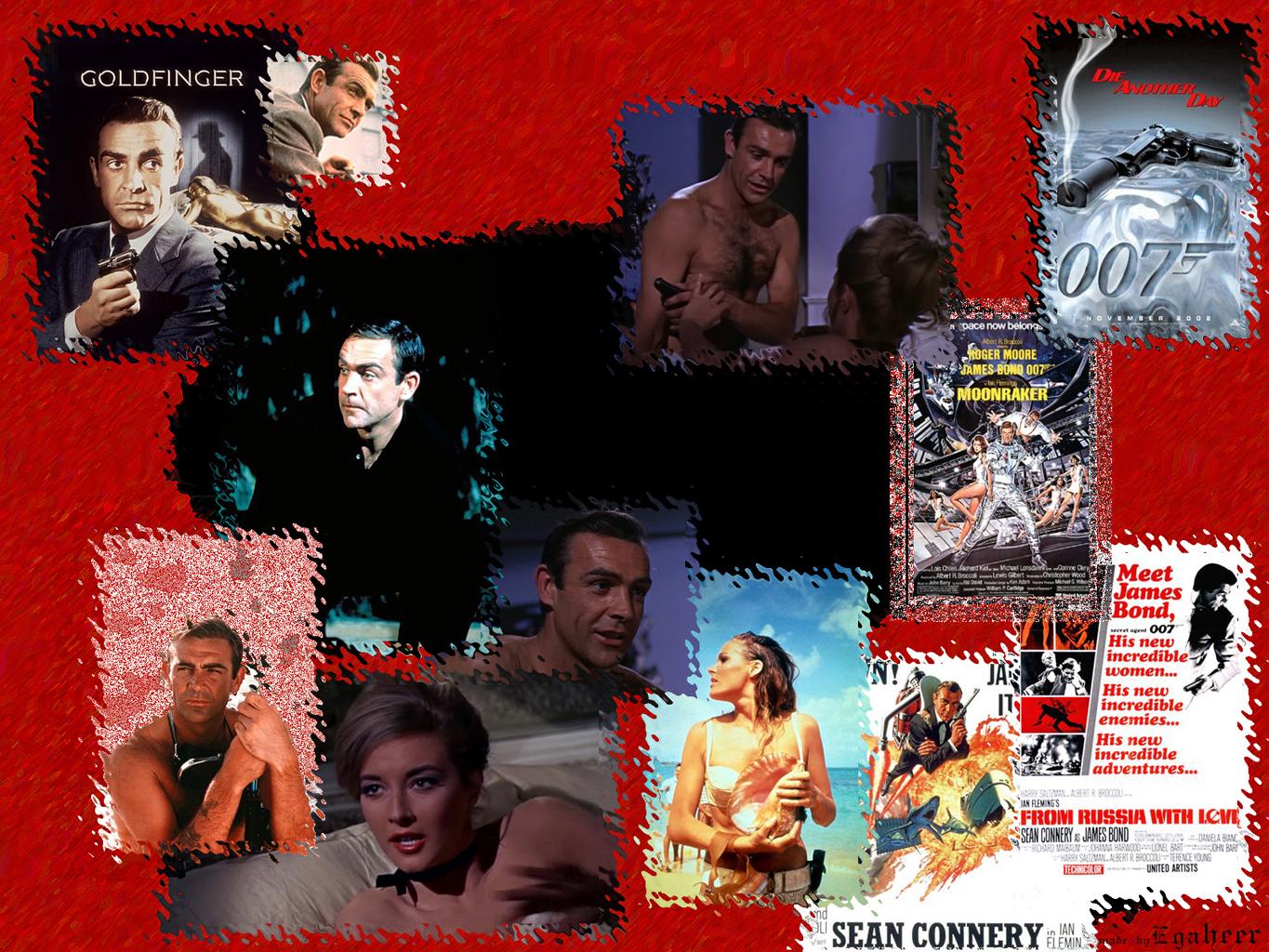 Download High quality James Bond wallpaper / Movies / 1365x1024