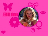 Legally Blonde / Movies