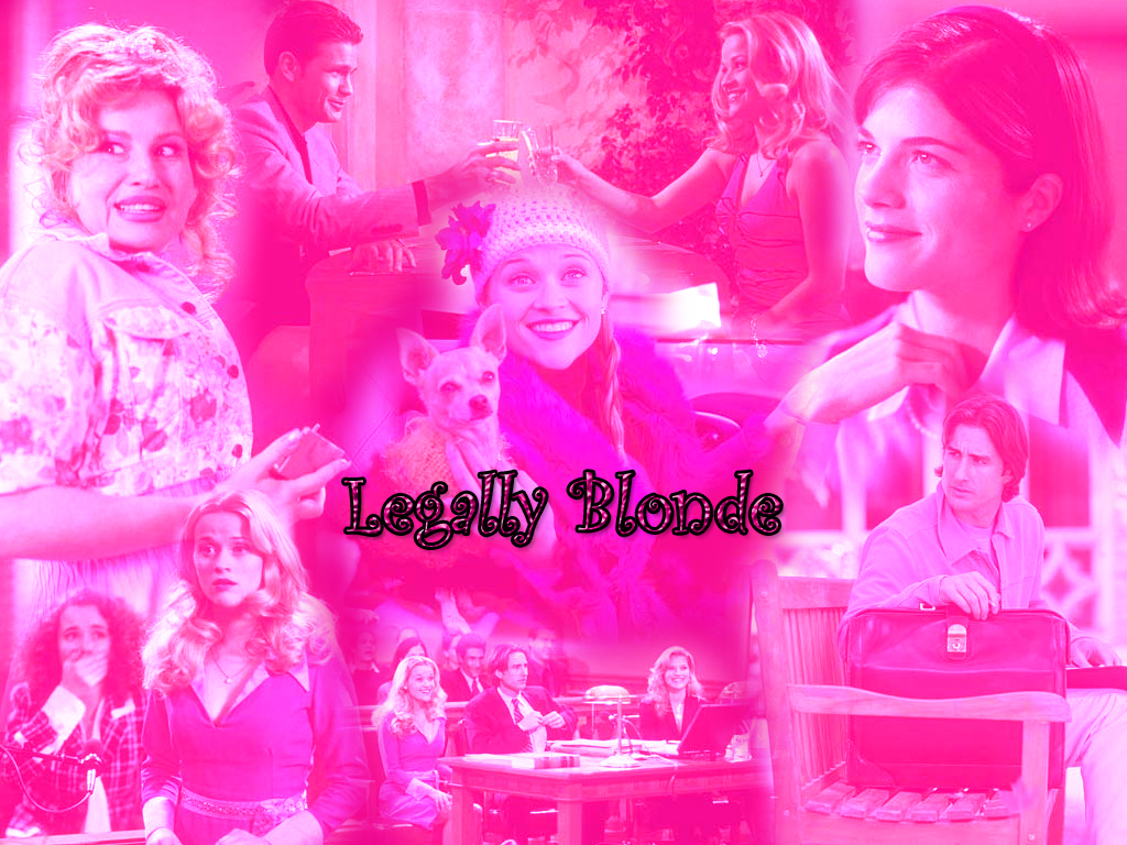 Full size Legally Blonde wallpaper / Movies / 1024x768