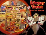 Looney Tunes Back In Action / Movies