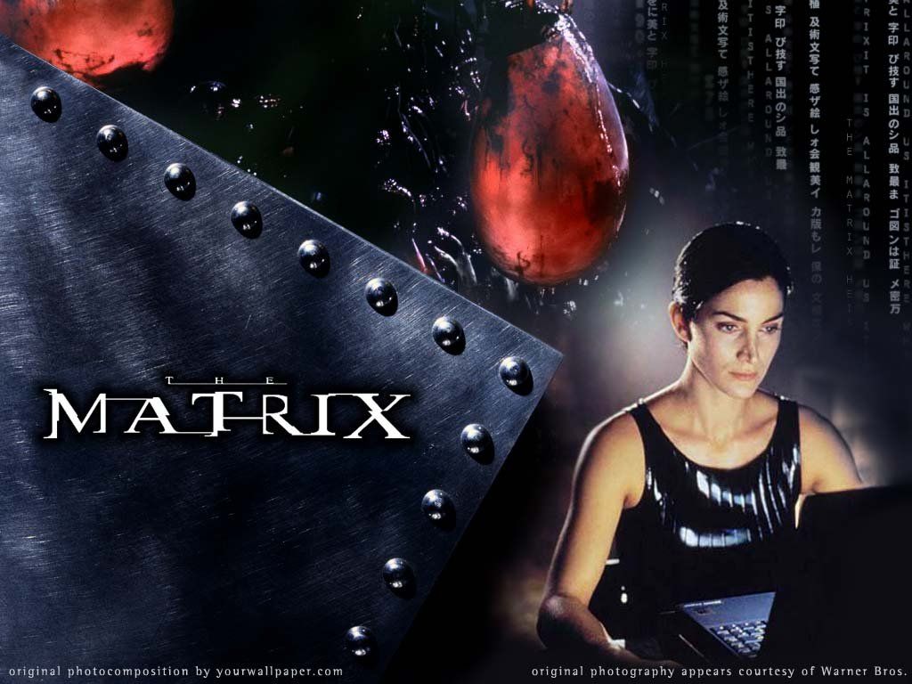 Download Matrix / Movies wallpaper / 1024x768