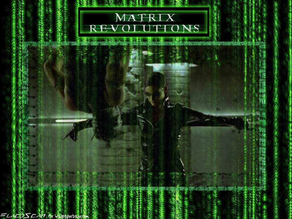 Full size Matrix wallpaper / Movies / 1024x768