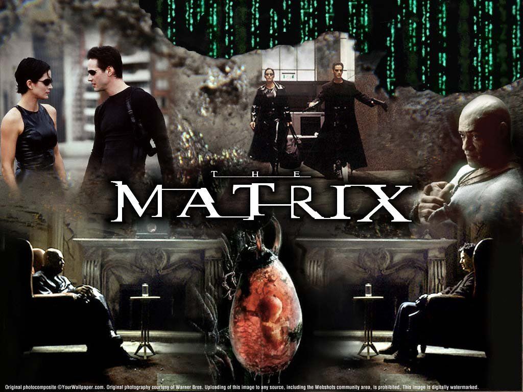 Full size Matrix wallpaper / Movies / 1024x768