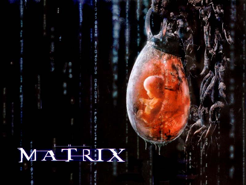 Download Matrix / Movies wallpaper / 800x600