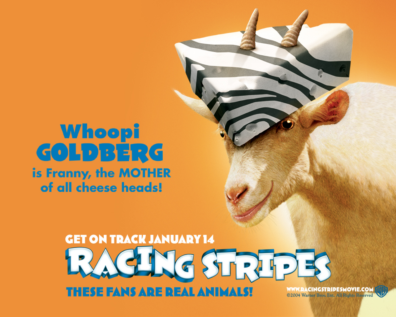 Download HQ Racing Stripes wallpaper / Movies / 1280x1024