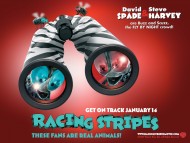 Racing Stripes / Movies