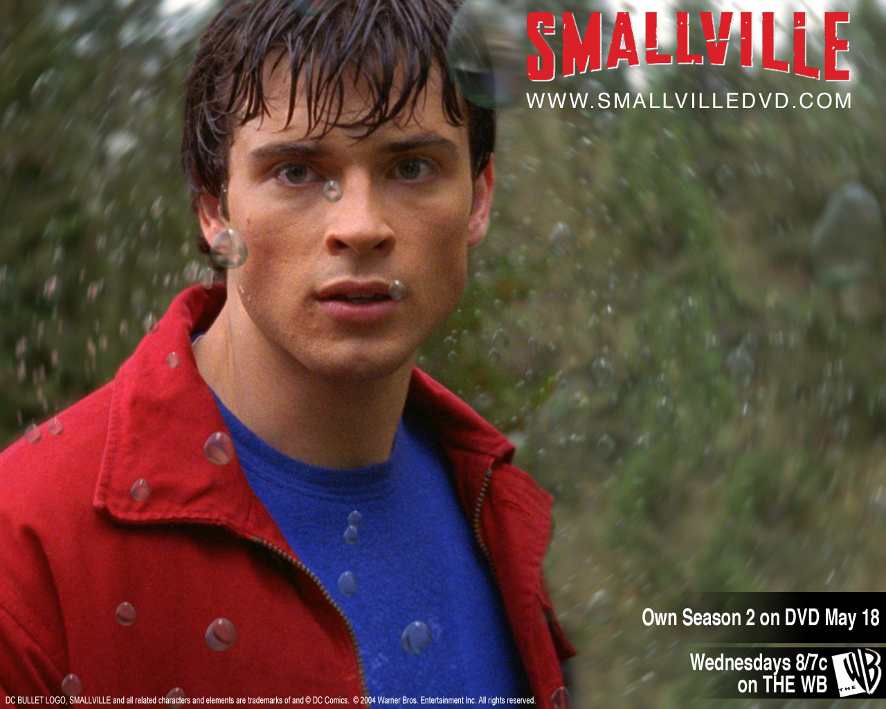 Download HQ Smallville wallpaper / Movies / 1280x1024