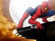Spider Man 4 Reboot / Movies