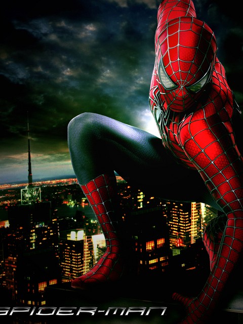Download Spider Man 4 Reboot / Movies wallpaper / 480x640