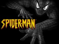 Spiderman / Movies