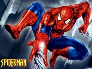 Download Spiderman / Movies