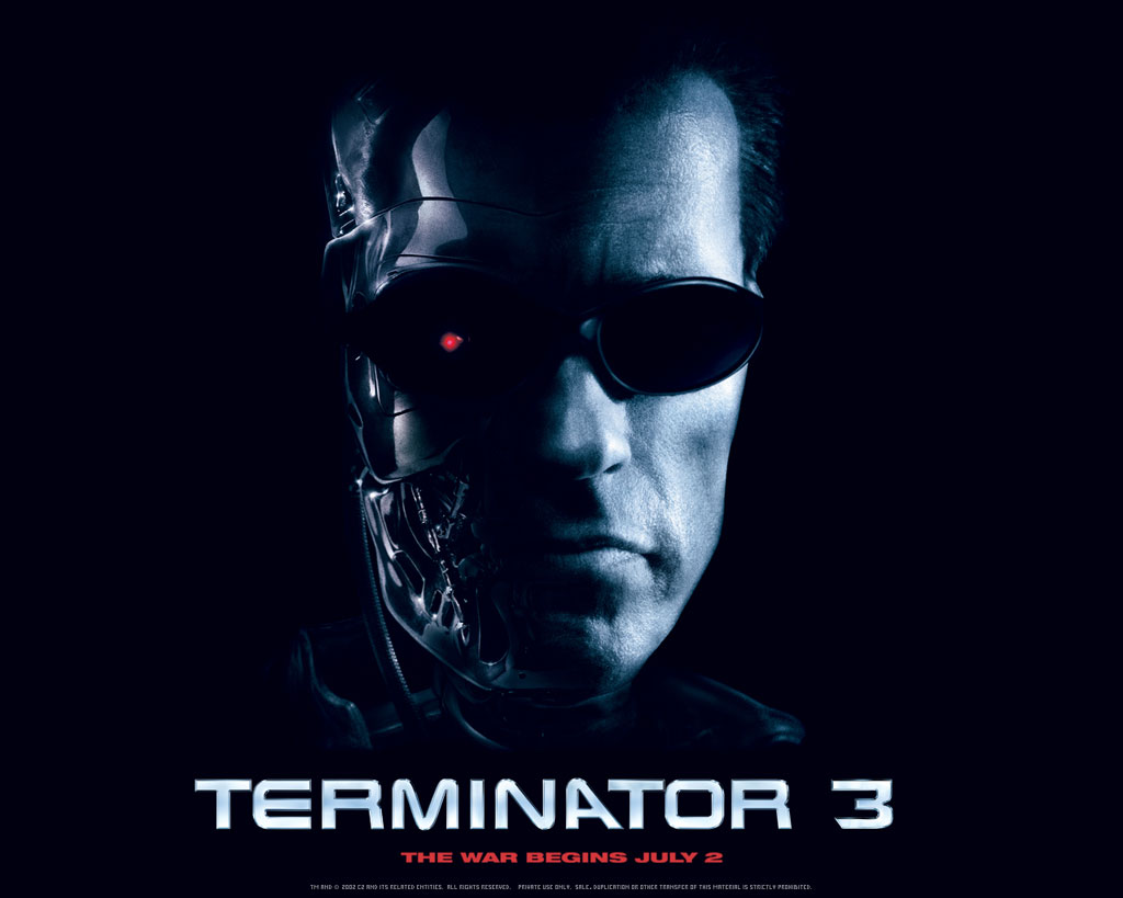 Download Terminator / Movies wallpaper / 1024x819