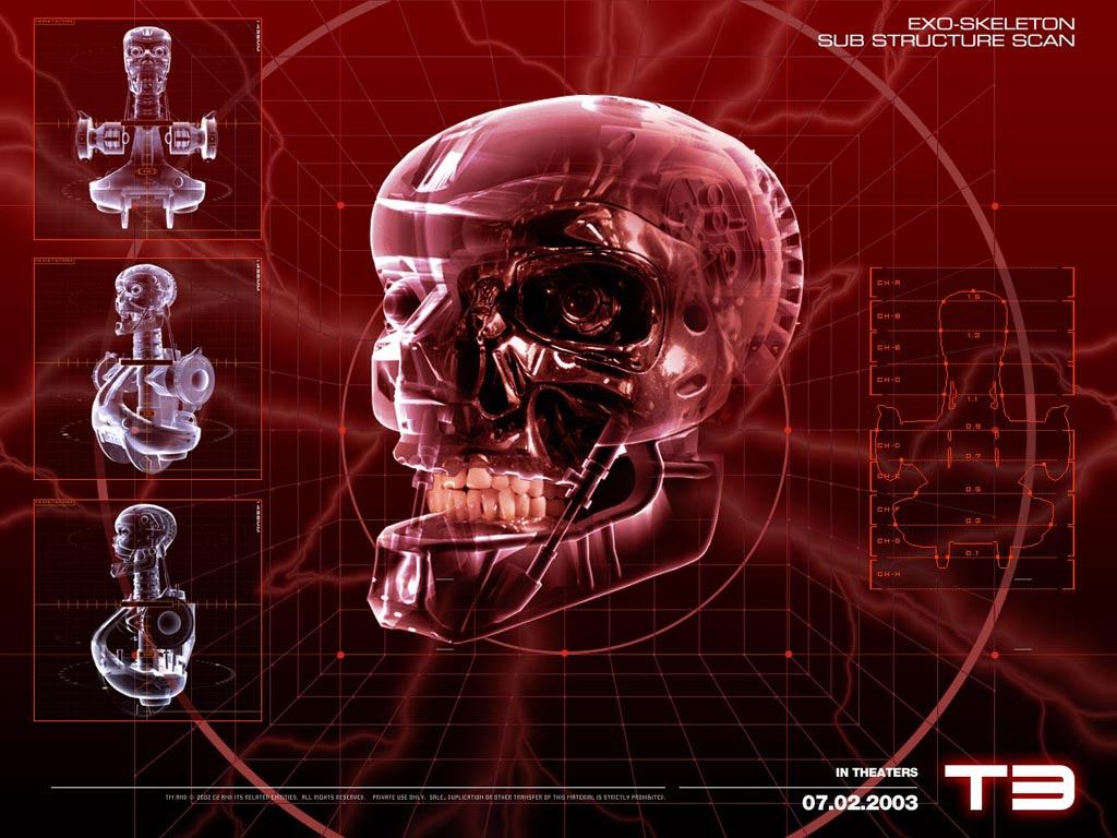 Download Terminator / Movies wallpaper / 1024x768