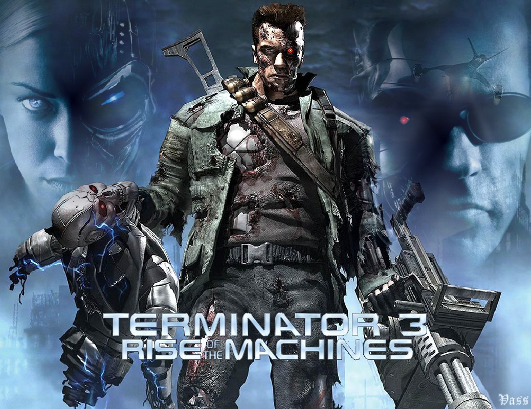 Download Terminator / Movies wallpaper / 1038x800