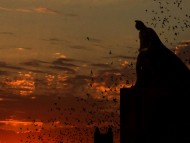 The Dark Knight Rises / Movies