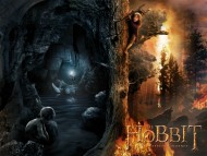 Download The Hobbit An Unexpected Journey / Movies