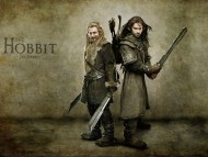 The Hobbit An Unexpected Journey / Movies