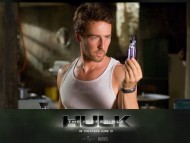 The Incredible Hulk / Movies