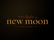 The Twilight Saga New Moon / Movies