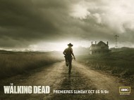 Download The Walking Dead / Movies