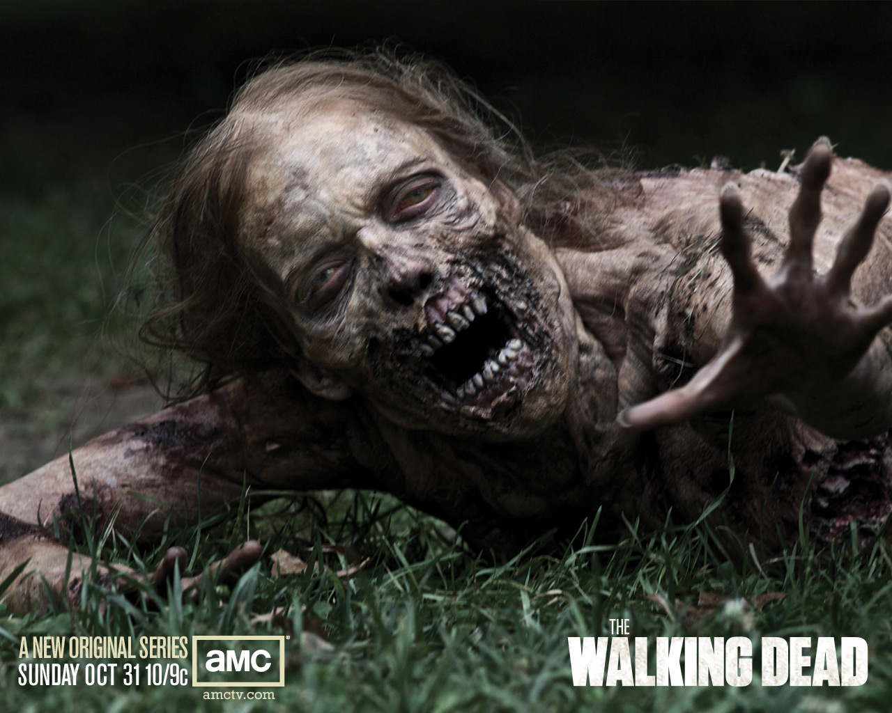 Download HQ The Walking Dead wallpaper / Movies / 1280x1024