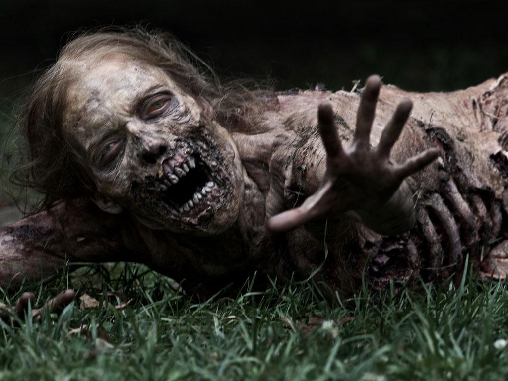 Download The Walking Dead / Movies wallpaper / 1024x768